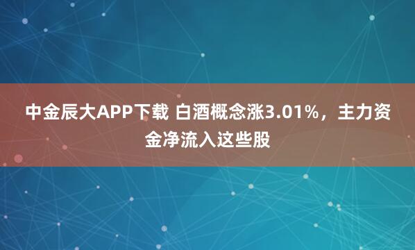 中金辰大APP下载 白酒概念涨3.01%,主力资金净流入这些股