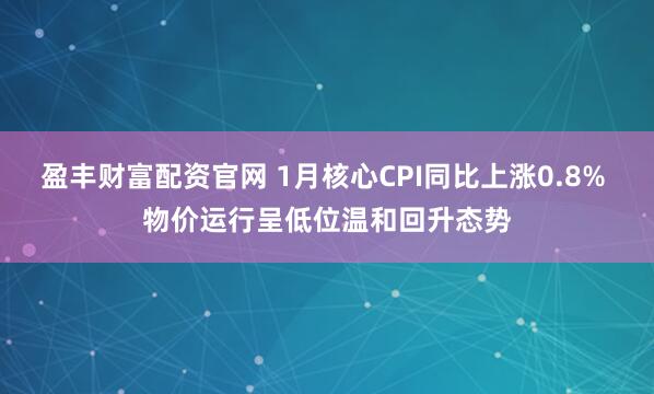 盈丰财富配资官网 1月核心CPI同比上涨0.8% 物价运行呈低位温和回升态势