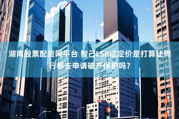 湖南股票配资网平台 智己LS8这定价是打算让同行都去申请破产保护吗？